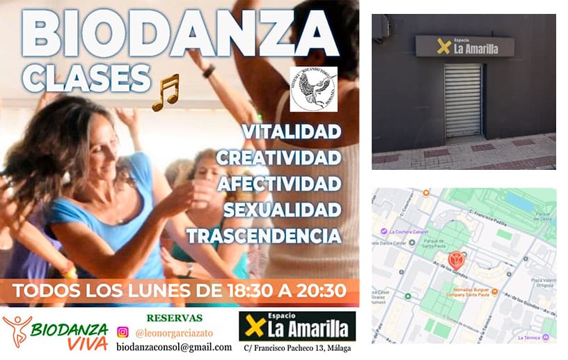 Relatos de Vivencia: Testimonios Reales de Transformación en Biodanza