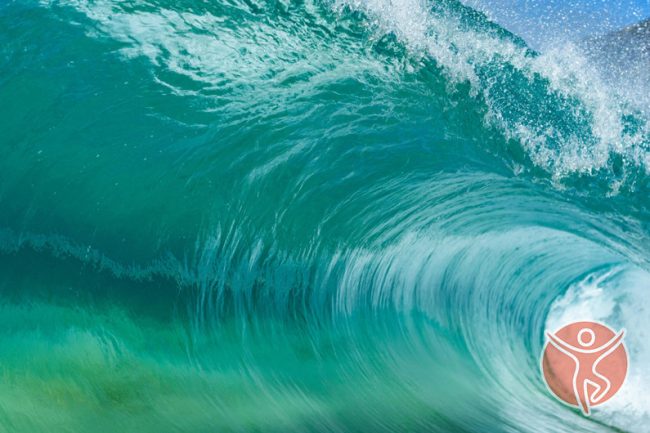 El Poder de la Música en Biodanza: una mirada desde la Neurociencia, Biodanza Viva en Málaga