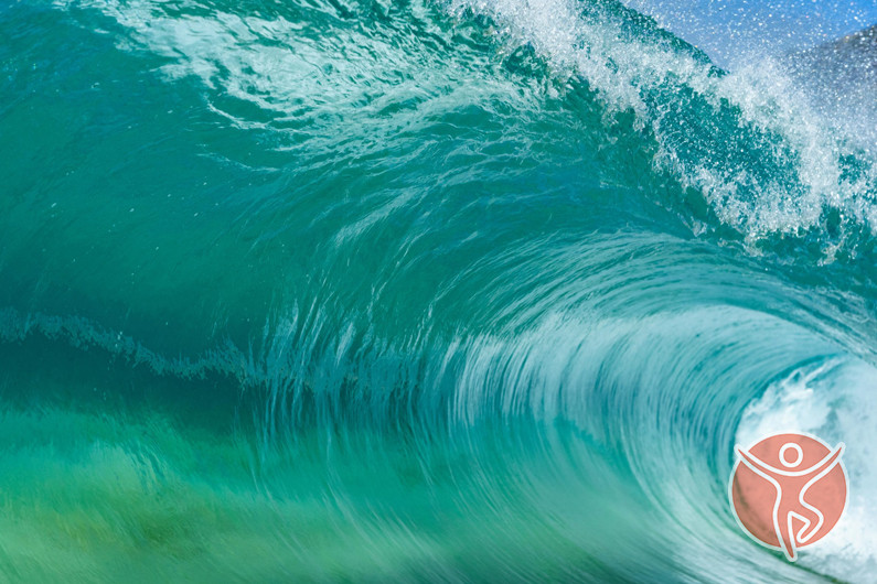 El Poder de la Música en Biodanza: una mirada desde la Neurociencia, Biodanza Viva en Málaga