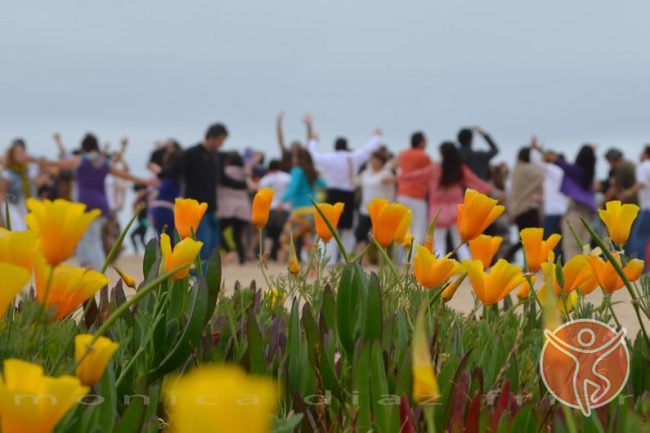 ¿Qué es Biodanza y para qué sirve?, Biodanza Viva en Málaga