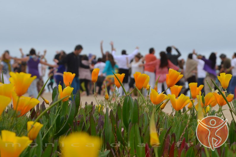 ¿Qué es Biodanza y para qué sirve?, Biodanza Viva en Málaga