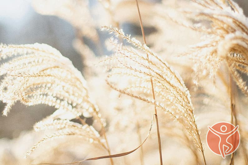 Paz mental y serenidad desde el movimiento, Biodanza Viva en Málaga